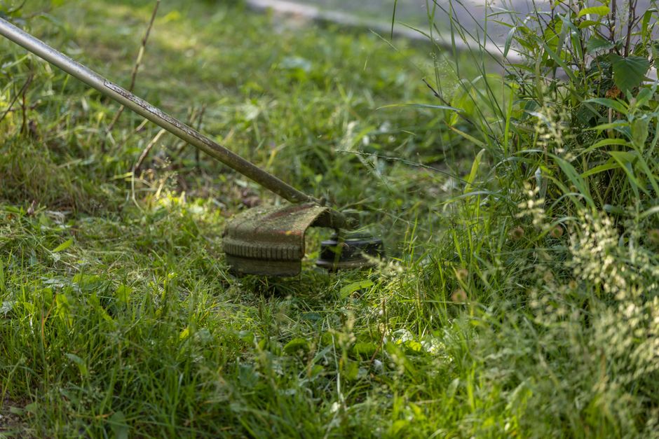Yard work and lawn maintenance